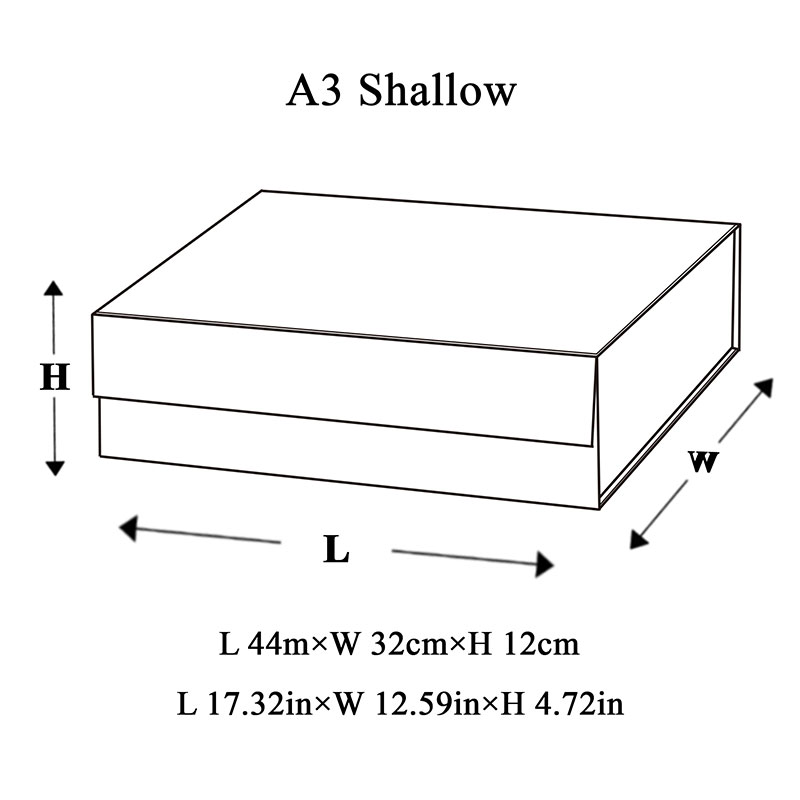 A3-Shallow